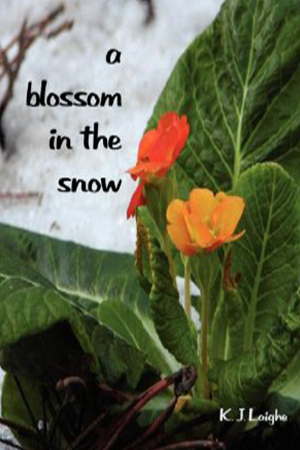 A Blossom in the Snow